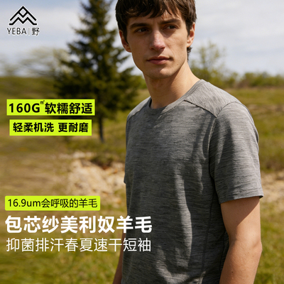 160G㎡美利奴羊毛短袖速干排汗
