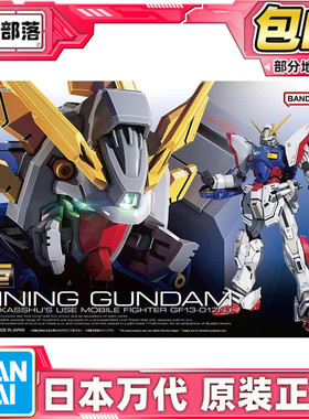 现货 万代 RG 1/144 闪光高达 机动武斗传 G高达 多蒙卡修