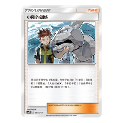 简中PTCG宝可梦 2弹预组 交相辉映 小刚的训练 CSM2DC