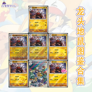 正版简中PTCG宝可梦 宝石包第四弹Vol.4 龙头地鼠 CBB4C