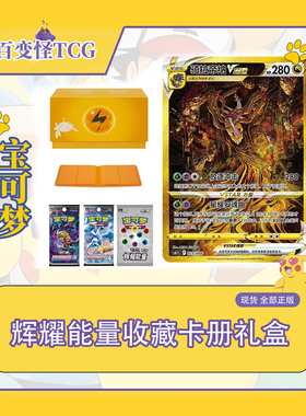简中PTCG宝可梦 vol.3 辉耀能量收藏卡册礼盒 草属性钢属性雷属性