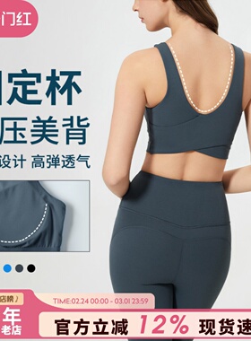 固定杯美背运动内衣女高强度防震健身文胸BRA跑步训练瑜伽服上衣D