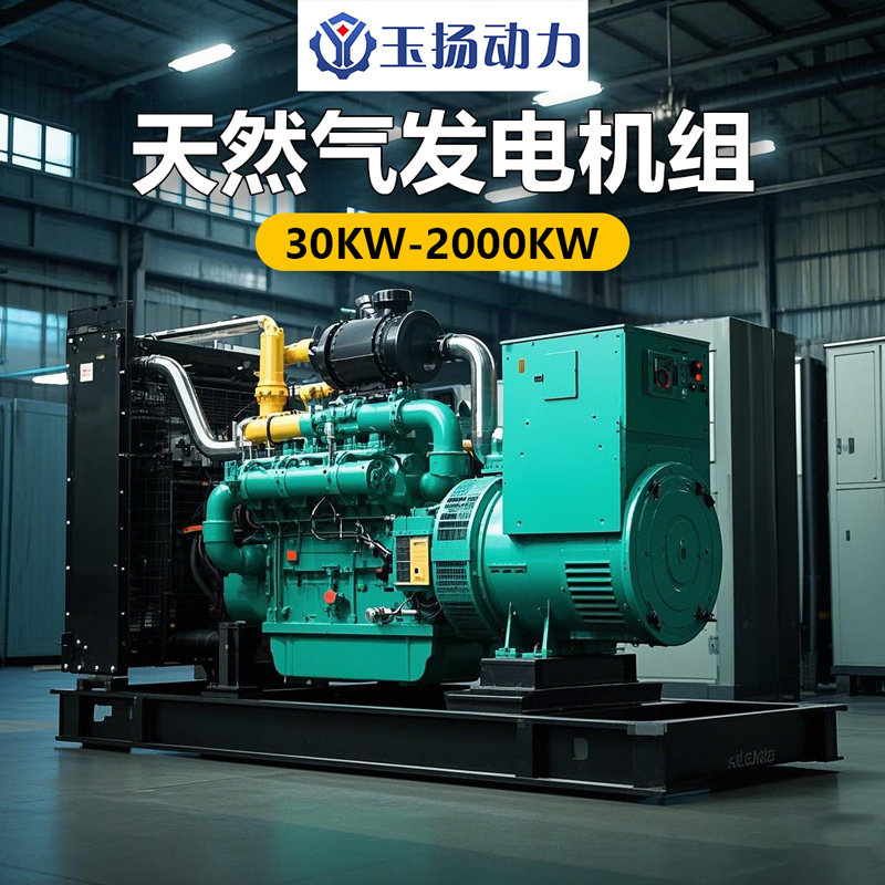 出口机型 天然气发电机组 工厂24h常用电源 全铜无刷燃气发电机组