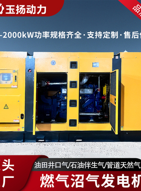 Steyr斯太尔618系列200kw燃气发电机组 静音型油田井口气发电机