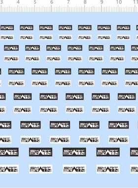 77860整版胶 无比例 SMZRT BRAIN SMART 模型水贴定制打印2402