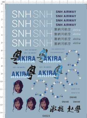 64623 akira snh airway SNH48 塞纳河航空唐安琪激推赵粤水贴1
