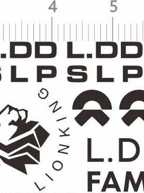 96009整版胶LDD SLP FAMILY LDDS NIO LDDS LIONKING创意diy水贴