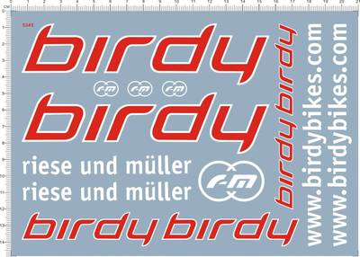 5345-A2007 个性签名英文名birdy 水贴纸