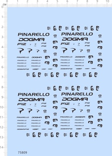 75809整版电镀金水贴 PINARELLO DOGMA TALON 定制打印2310