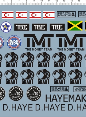 62991-27 dave floyd d.haye hayemaker 拳击手土耳其