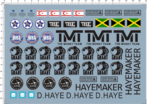 62991-27 dave floyd d.haye hayemaker 拳击手土耳其