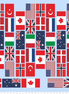 75847整版水贴 多国国旗 F35 加拿大美国英国澳大利亚意大利2310