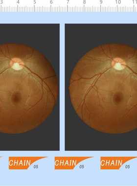 68451整版胶CHAIN 05眼球色块水贴纸纸模模型水贴纸定做订做定制