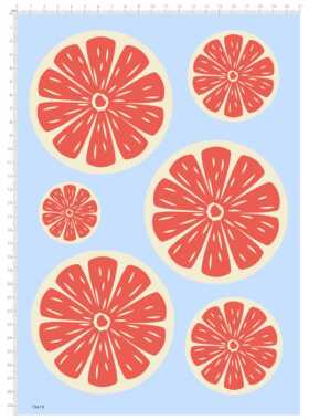 79419 西柚 水贴 模型 碗碟餐盘杯子水转印定制打印2403