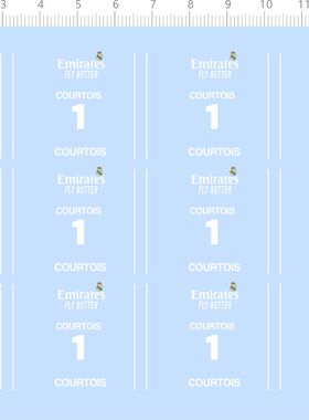 75765整版水贴 Emirates COURTOIS 1 模型水贴定制打印2310