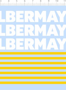 71644整版胶 FELBERMAYR 遥控卡车模型水贴