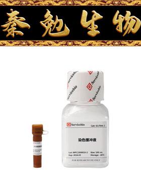 赛维尔 货号：G1704 DiO细胞膜绿色荧光染色试剂盒