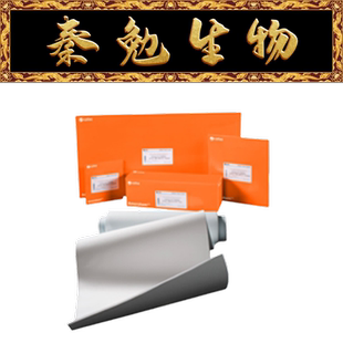 Cytiva 货号：10600023 Amersham Hybond P 0.45 PVDF 印迹膜