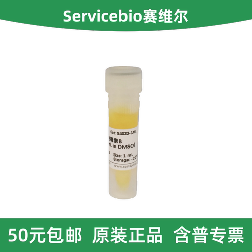 G4023-1ML两性霉素B赛维尔