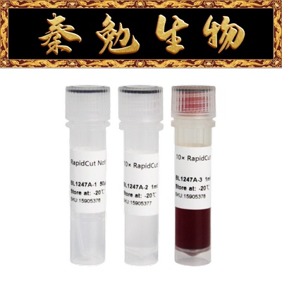 Biosharp白鲨RapidCutNotI