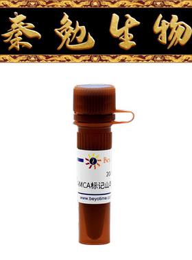 碧云天 A0413 AMCA标记山羊抗小鼠IgG(H+L)