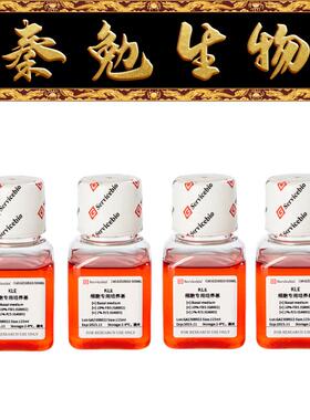 赛维尔 货号：GZ10610-500ML KLE细胞专用培养基