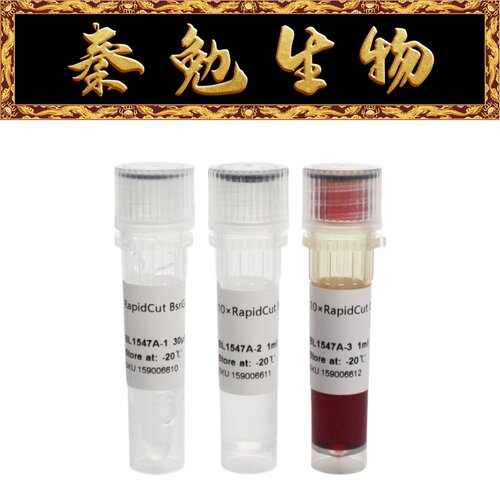 Biosharp白鲨RapidCutBsrGI