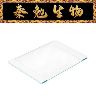 1.0mm bio rad 货号：1653311 带边条玻璃板