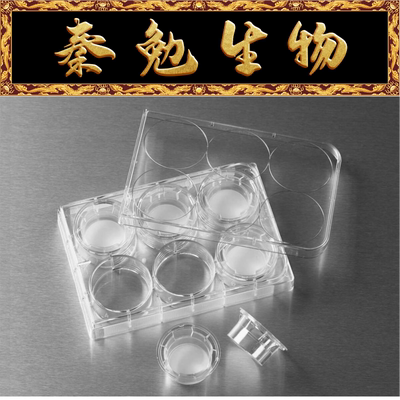 CorningTranswell嵌套3412