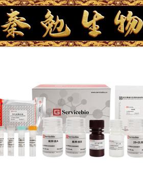 赛维尔 货号：GER0007-96T Rat C-Reactive ProteinCRP ELISA Kit