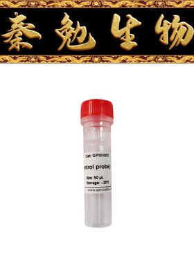 赛维尔 货号：GP00007 RNASweAMI小鼠阳性对照探针Mm-Rnu6