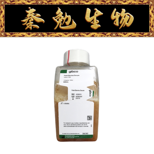 胎牛血清(Gibco原装,产地南美)
