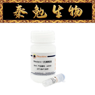 碧云天 AF8127 TFAM Rabbit Polyclonal Antibody