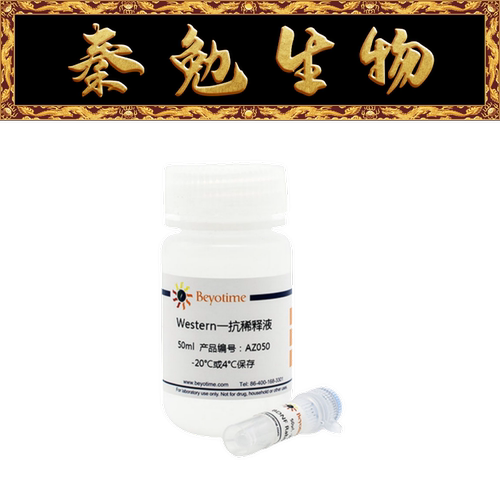 GPCRRDC1RabbitMonoclonal