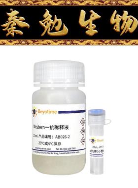 碧云天 AB026 Bax抗体(小鼠单抗)