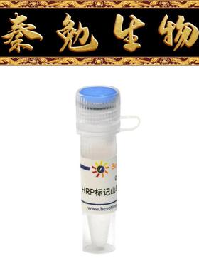 碧云天 A0356 辣根过氧化物酶标记山羊抗大鼠IgG(H+L)