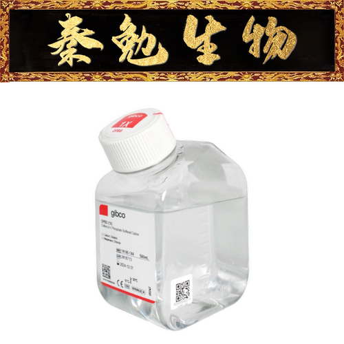 GibcoDPBS（不含钙镁不含酚红）