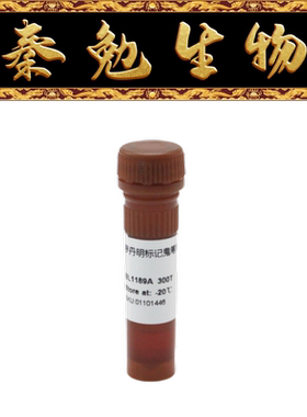 Biosharp白鲨 BL1189A TRITC Phalloidin 罗丹明标记鬼笔环肽