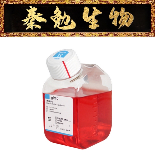 GibcoDMEM高糖培养基11995-065