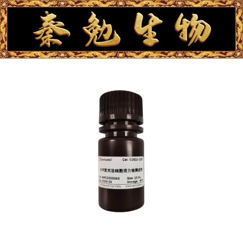 发光法细胞活力检测试剂盒赛维尔
