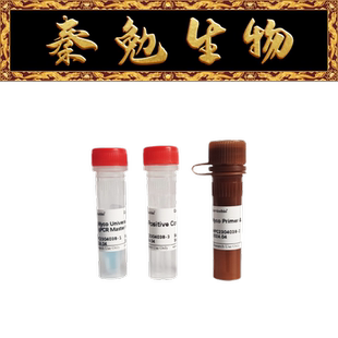 探针法 赛维尔 支原体qPCR检测试剂盒 货号：G1903
