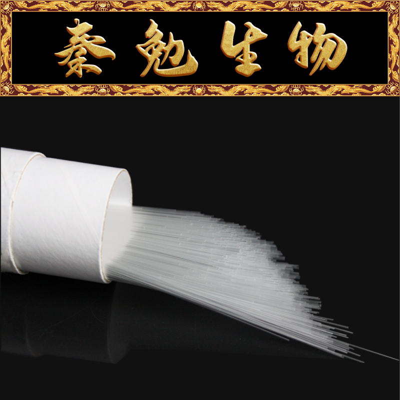 Biosharp点样毛细管0.3×100mm