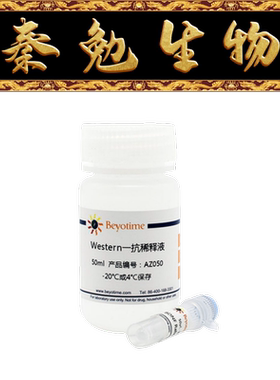 碧云天 AF1897 Integrin alpha V+beta 6 Rabbit