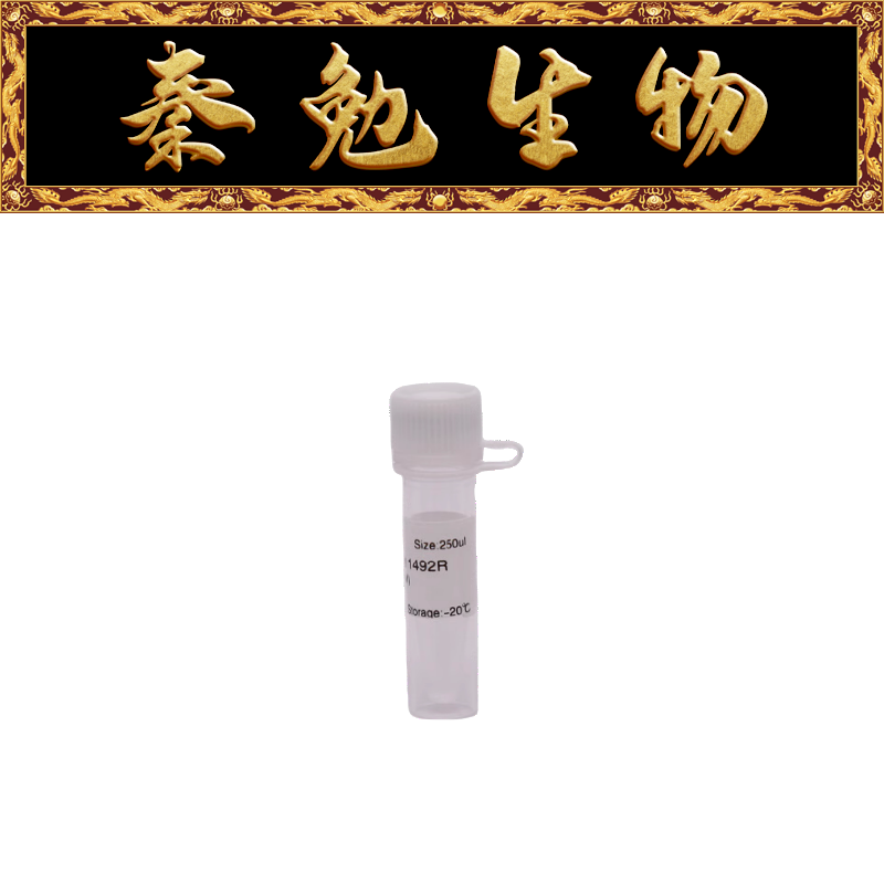 索莱宝通用引物1492RPC2462