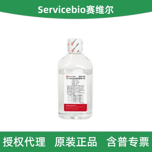 Servicebio赛维尔 G2154-1L 10×免冰浴快速转膜缓冲液