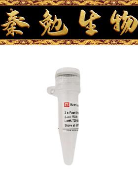 赛维尔 货号：G3324-05 快速染料法SYBR Green qPCR预混液