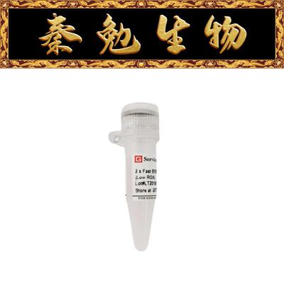 赛维尔SYBRGreenqPCR预混液