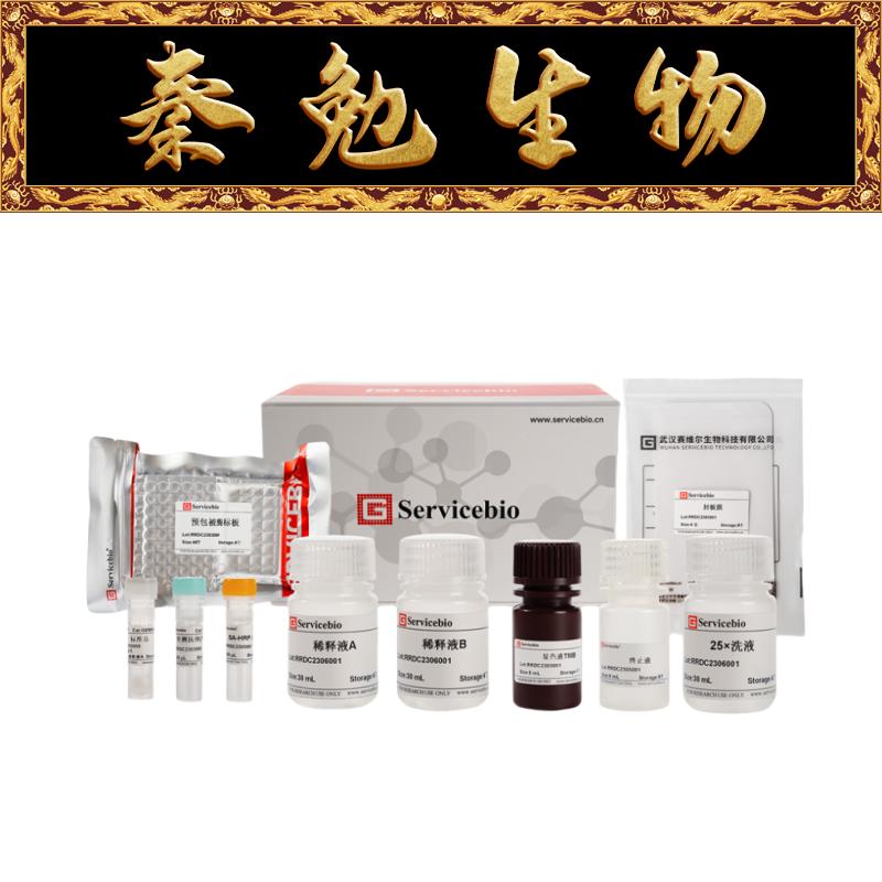 赛维尔MouseIFN-gamma