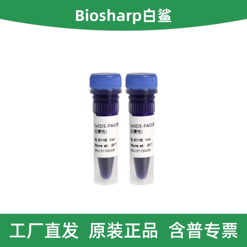 白鲨5xSDS-PAGE蛋白上样缓冲液