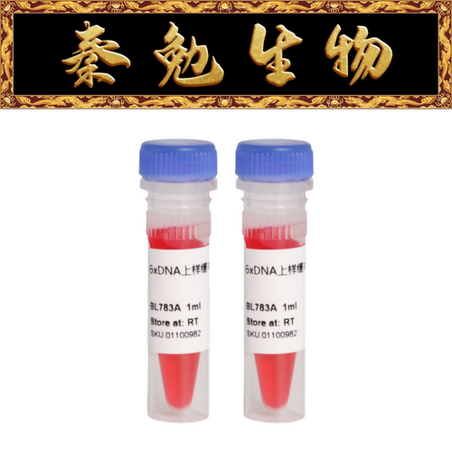 Biosharp6×DNA上样缓冲液